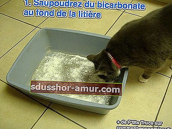 Поръсете сода за хляб в долната част на кутията за отпадъци на вашата котка
