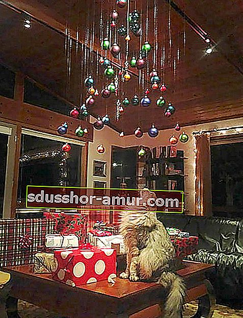 Božične kroglice, ki visijo s stropa in jih mačka gleda