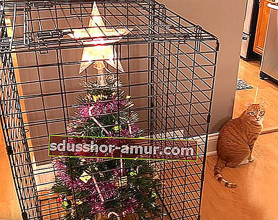 Коледно дърво в клетка, за да го предпази от котката