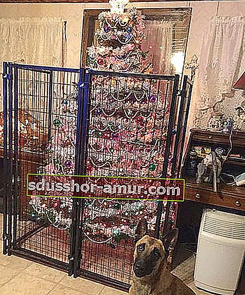 Velik pes pred božičnim drevesom, ki je v kletki, da ga zaščiti