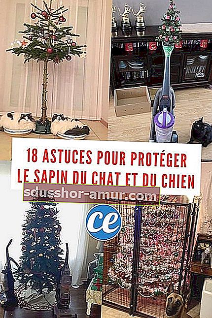 15 nasvetov za zaščito božičnih dreves pred psi in mačkami