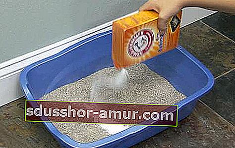 pranje mačjega legla pecilni soda