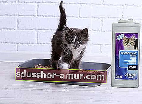дезодорант-порошок для кошачьих туалетов