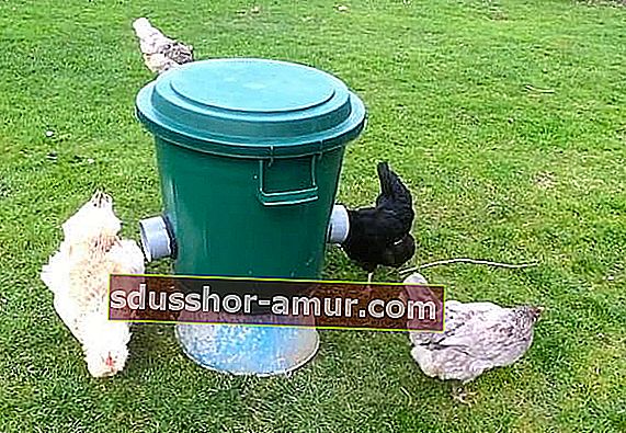 podajalnik piščancev v smetnjaku