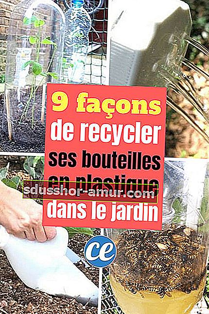 9 способов переработать пластиковые бутылки в саду 