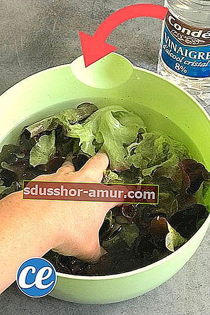 за да измиете салатата, докато пестите вода, използвайте бял оцет