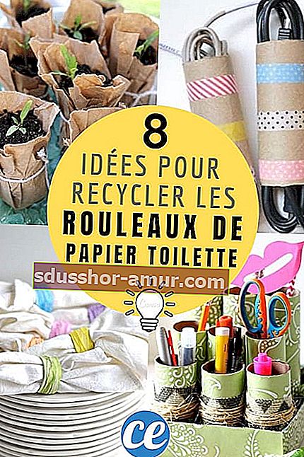 8 načina recikliranja role toaletnog papira