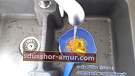 sjemenke dinje isprane vodom kako bi se uklonila pulpa