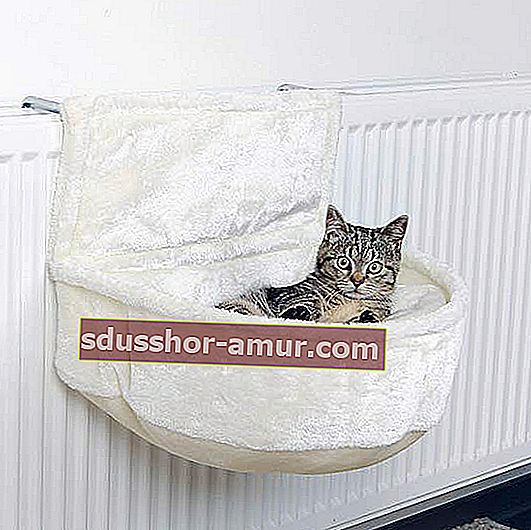 евтин развъдник за котката, който се придържа към радиатора