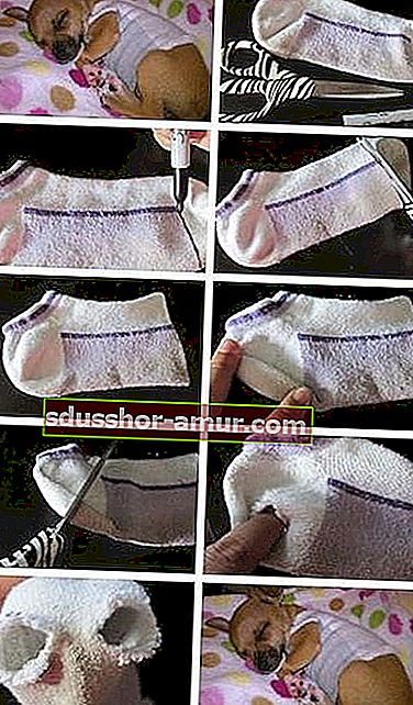 как да си направим палто от чихуахуа с чорап