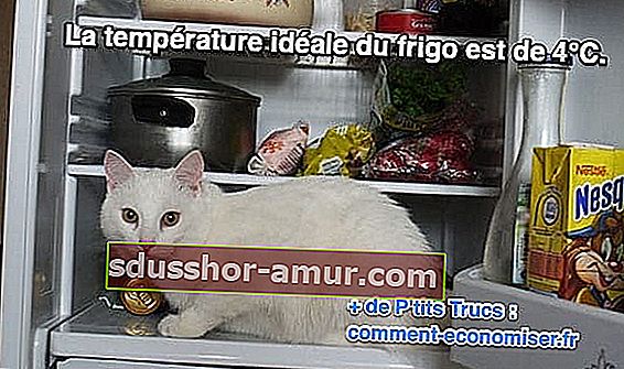 idealna temperatura hladilnika
