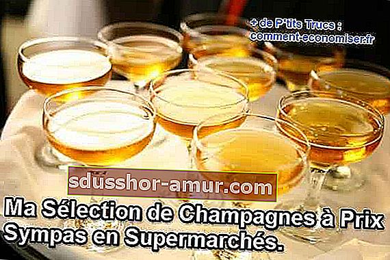 izbor šampanjca po nizkih cenah