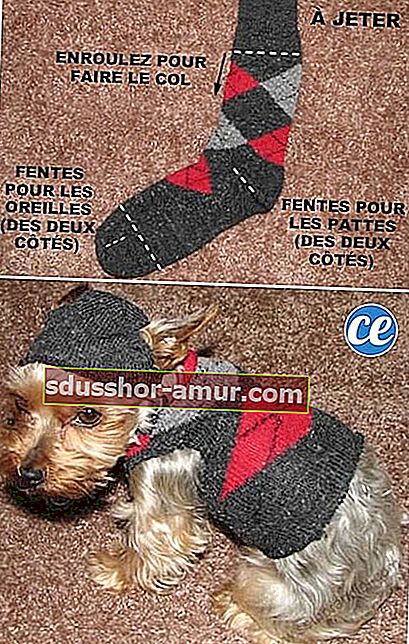 Рециклиран чорап за направа на пуловер за малко куче