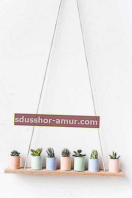 sodoben dekor s kaktusi