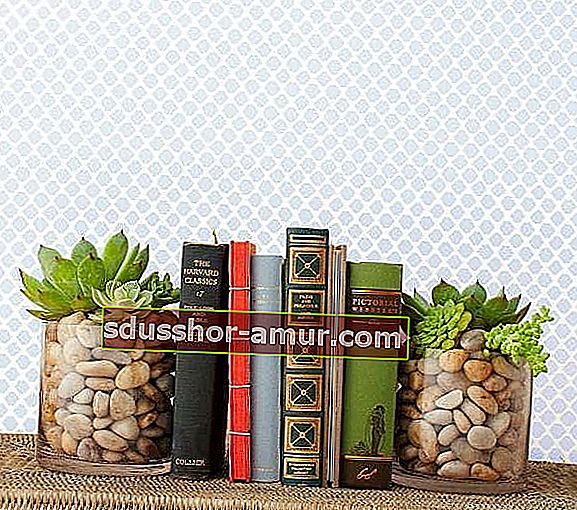 подставка для книг кактус