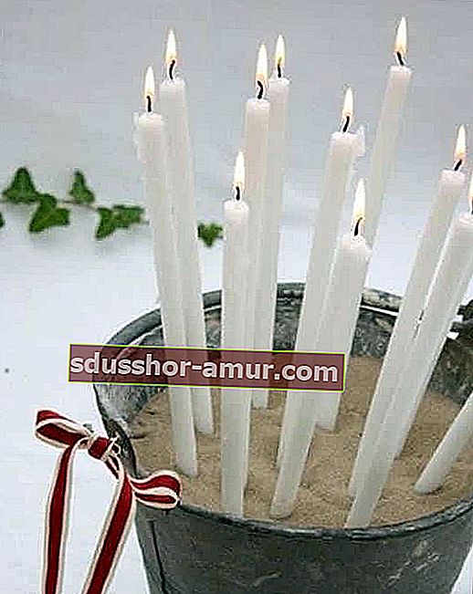 Božične sveče, posajene v vedro