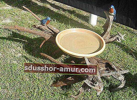 домашняя ванна для птиц