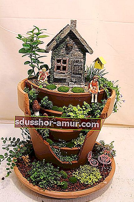 Kırık bir tencerede mini bir dekoratif bahçe