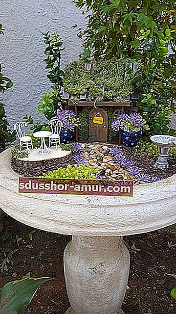 декоративный миниатюрный сад в птичьей ванне