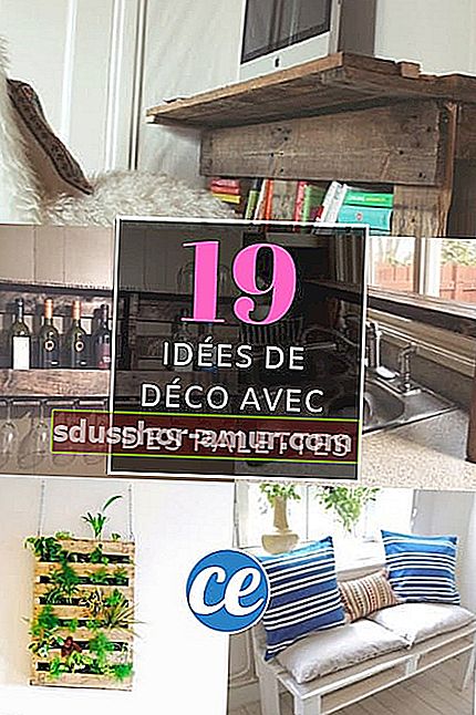 Öğreticilerle paletlerle dekorasyon ve mobilya için 19 fikir ve DIY