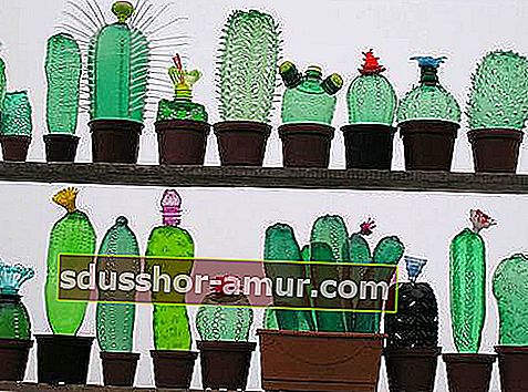 кактусы в пластиковых бутылках