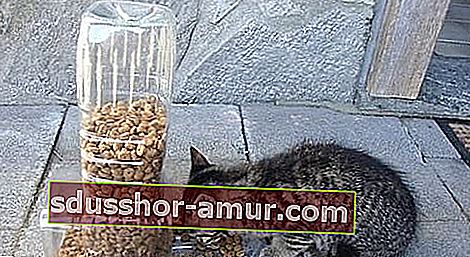 hranilica za mačke od plastične boce