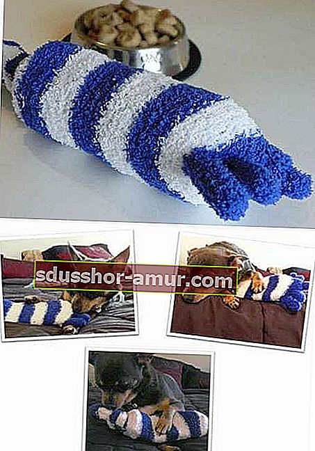 Plavo-bijela čarapa koja služi kao igračka za pse