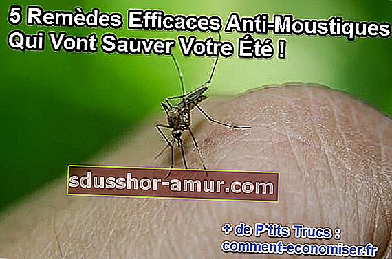 naravne in učinkovite rešitve za odganjanje komarjev
