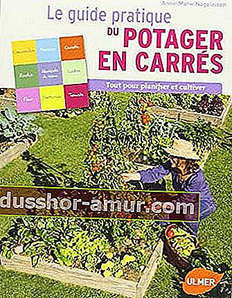 Резервирайте ръководството за зеленчукова градина на евтини квадратчета