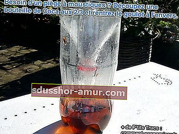елегантен капан за комари с бутилка кока-кола