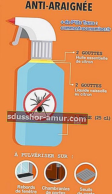 Prirodno sredstvo za zaštitu od pauka na bazi esencijalnog ulja limuna