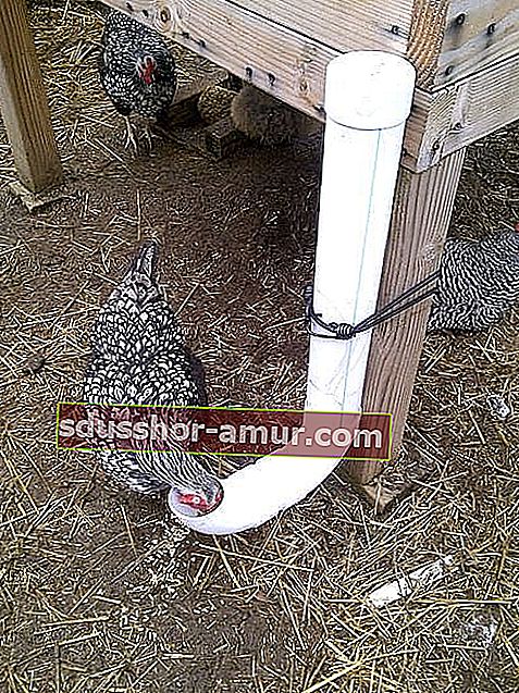 простая в изготовлении кормушка для цыплят из ПВХ