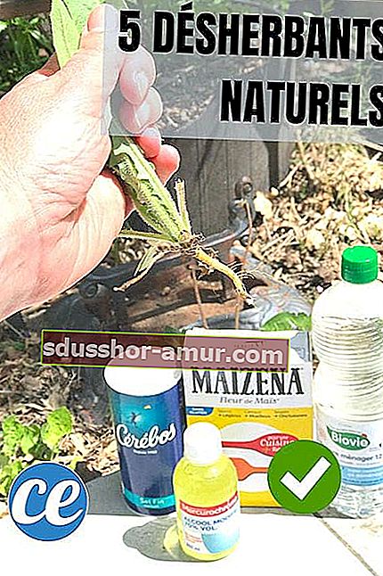 5 мощных натуральных средств для уничтожения сорняков из соли, уксуса, спирта, кукурузного крахмала и воды