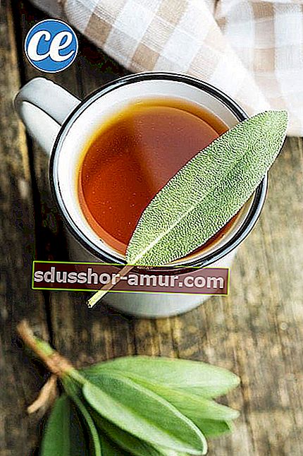 Чашка травяного чая с листьями шалфея
