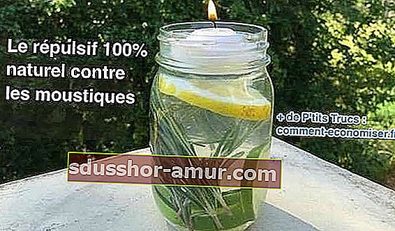 DIY свещ против комари с румен и лимон