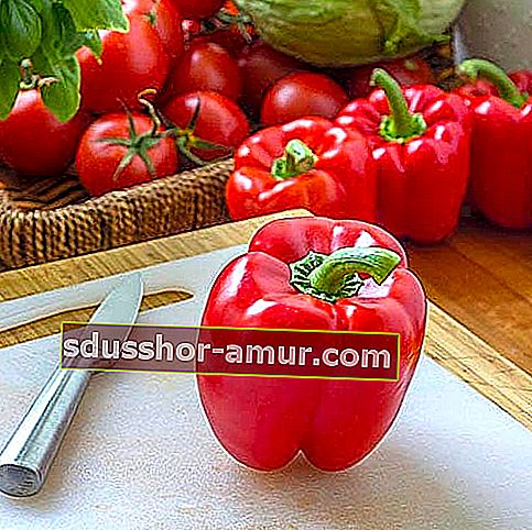 Kateri so najboljši recepti za okušanje okusne paprike z vrta?
