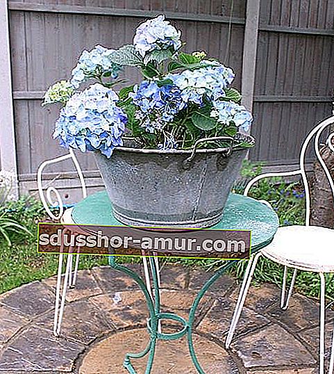 цинковая раковина на переработанном садовом столе в цветочном горшке