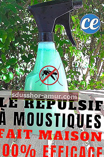 100% эффективный домашний репеллент от комаров