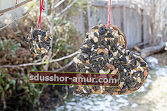 kartonska srca prekrivena maslacem od kikirikija i sjemenkama za hranjenje ptica