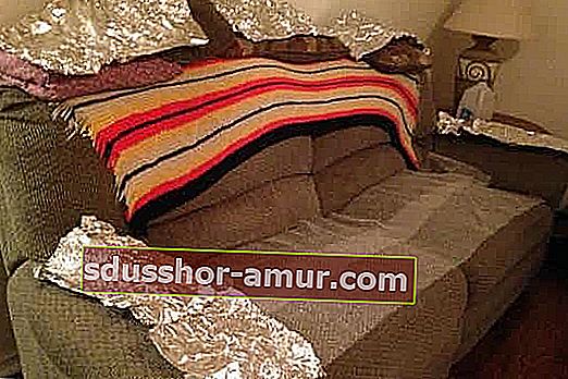 Използвайте алуминиево фолио, за да предпазите дивана от кучета и котки