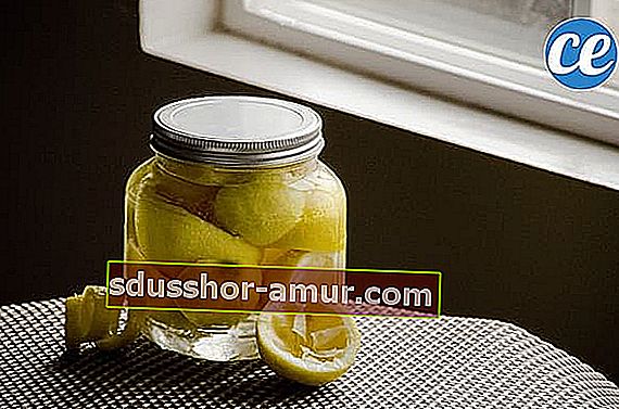 očistite sve kod kuće s limunovim kožicama