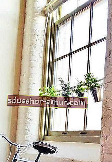 Используйте выдвижные стержни, чтобы повесить растения перед окном.