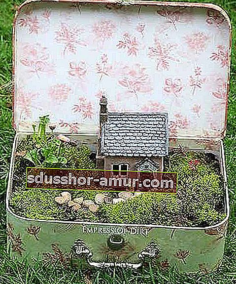 Miniaturni vrt, ki ga lahko odnesete v kovčku
