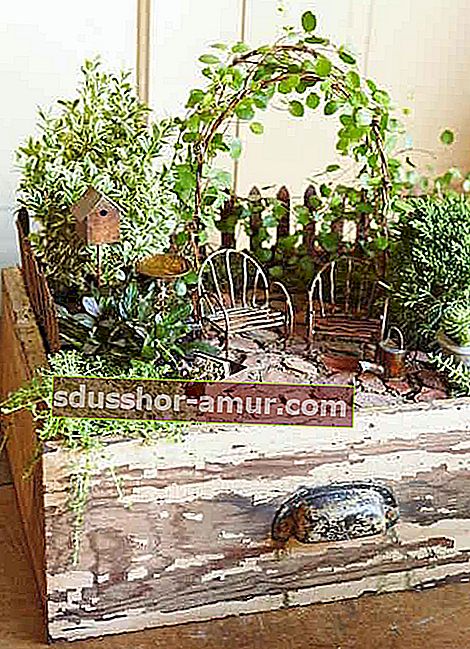 Minijaturni vrt u ladici