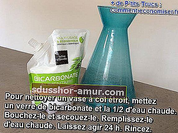 jednostavan trik za čišćenje uskih vaza sodom bikarbonom