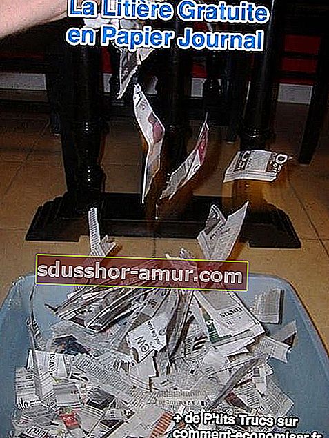 Безплатен вестник за котешки отпадъци