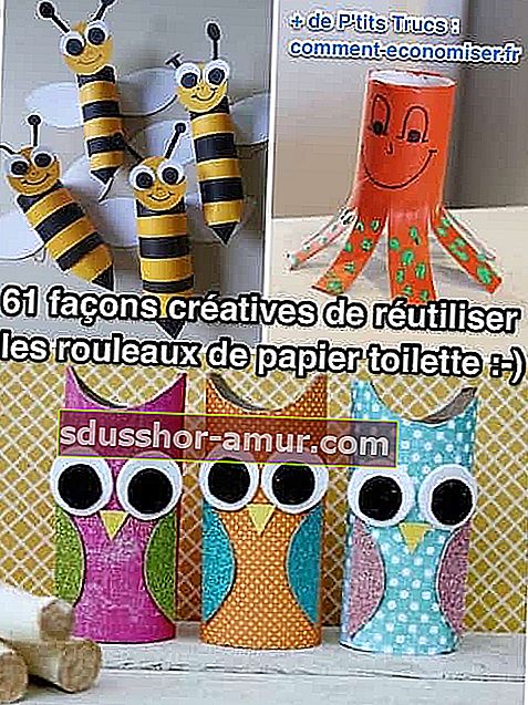 61 domaći DIY savjet za rolanje toaletnog papira
