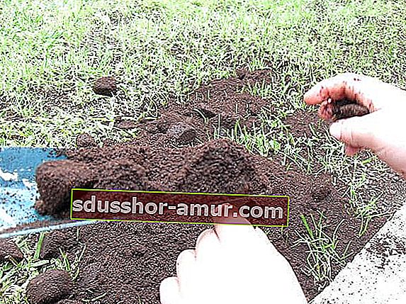 кафе за подобряване на съдържанието на азот в почвата