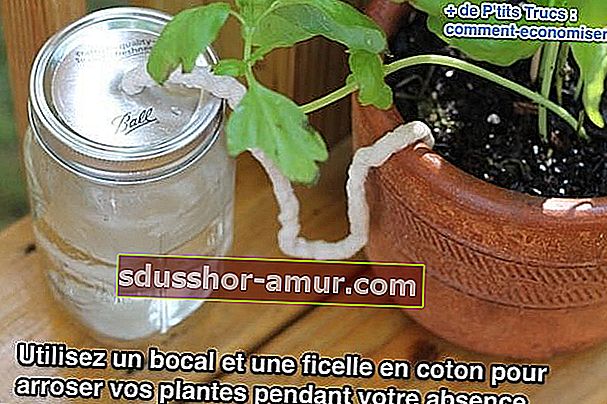 Използвайте буркан и памучна връв, за да поливате растенията си, докато отсъствате
