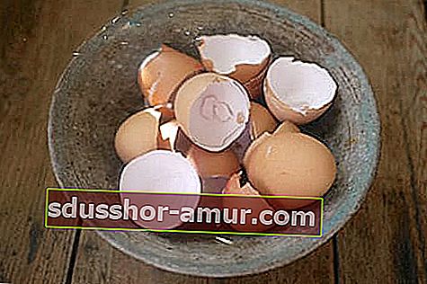 Użyj skorupek jaj, aby poprawić glebę ogrodową